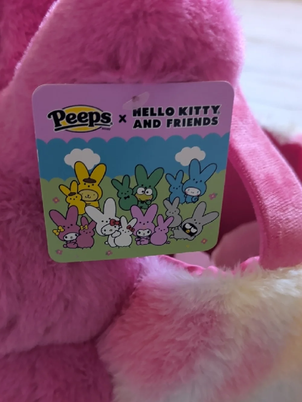 🆕 Cute Peeps x Sanrio Hello Kitty And Friends Plush Basket 💜💗